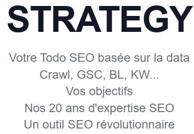 oseox strategy seo
